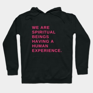 We are spiritual beings having a human experience Hoodie